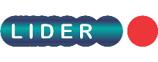 Lider Logo